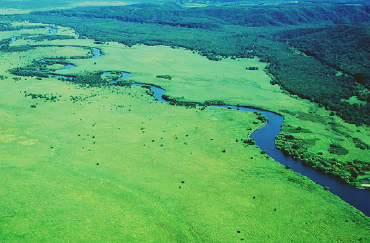 Kushiro Marsh